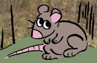 mouse rat // 1500x973 // 235.3KB