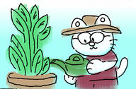 cat murray plant // 1500x982 // 372.3KB