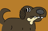 bone brown dog // 1500x987 // 113.9KB