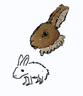 rabbit // 283x327 // 21.2KB