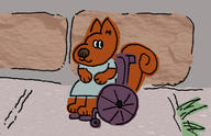 squirrel wheelchair // 1500x969 // 238.2KB