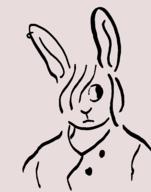 rabbit // 1656x2112 // 53.0KB