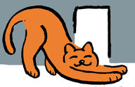 cat door orange stretch // 2361x1536 // 275.2KB