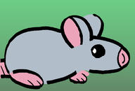 mouse rat // 1500x1016 // 126.1KB